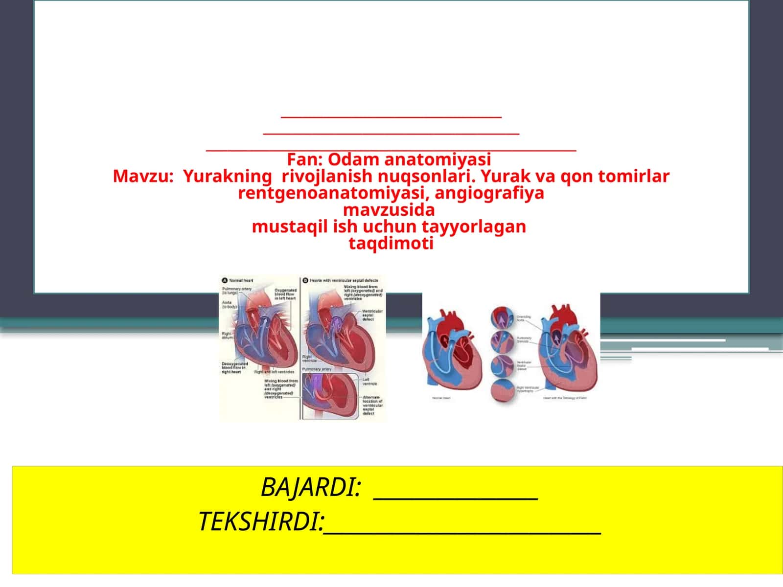 Yurakning rivojlanish nuqsonlari