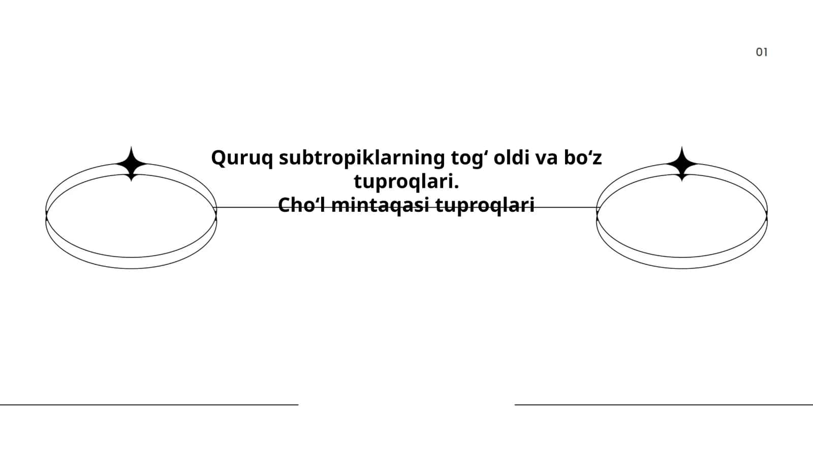 Quruq subtropiklarning togʻ oldi va boʻz tuproqlari.Choʻl mintaqasi tuproqlari