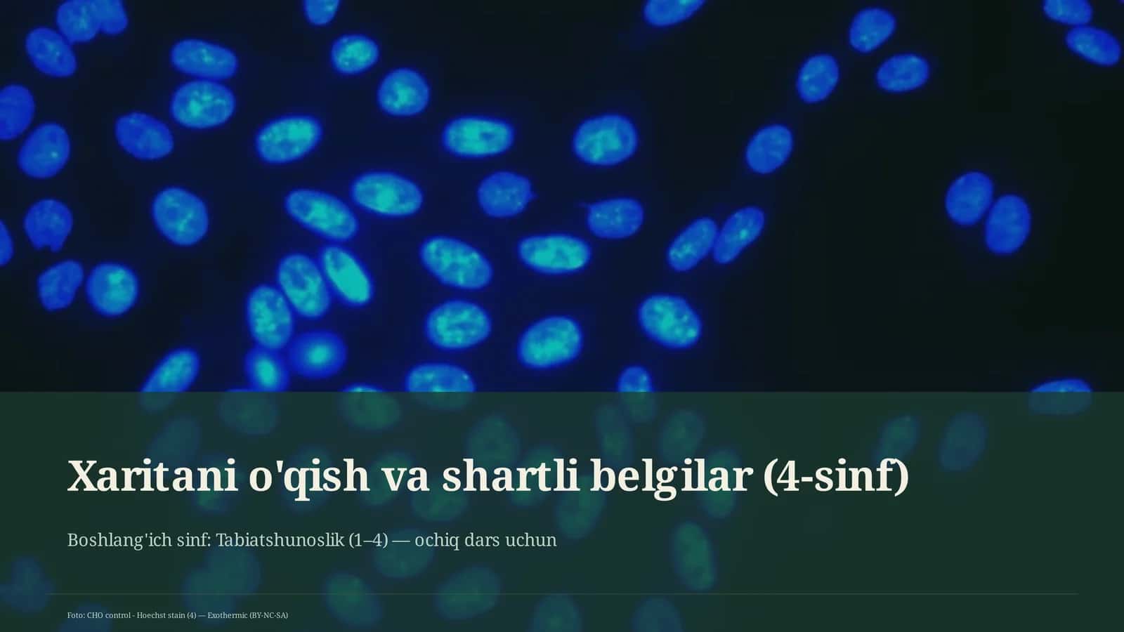 Xaritani o'qish va shartli belgilar (4-sinf)
