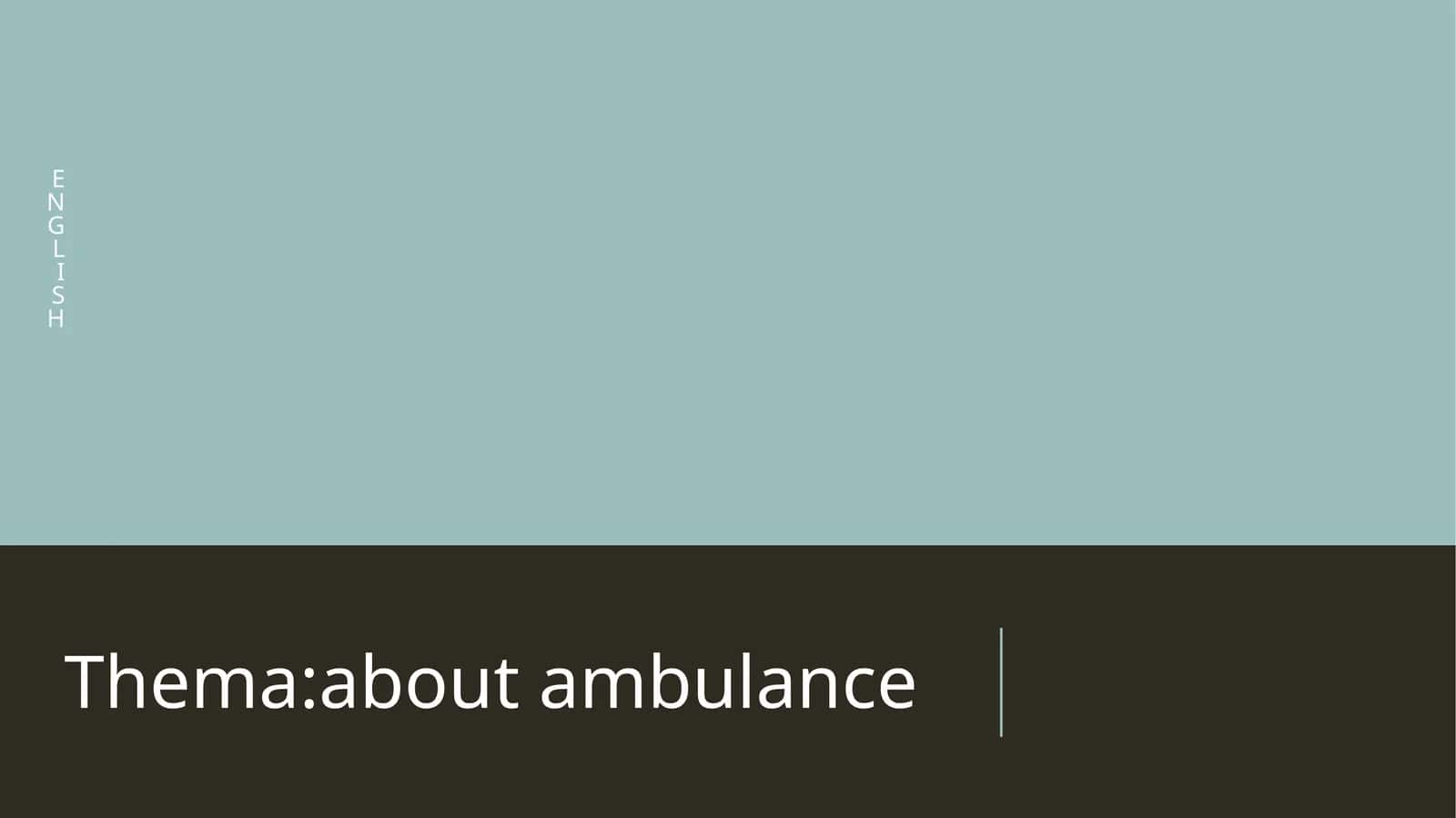 The Role of Ambulances