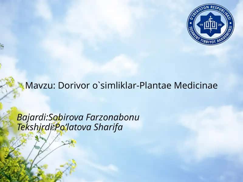 Dorivoro`simliklar-PlantaeMedicinae