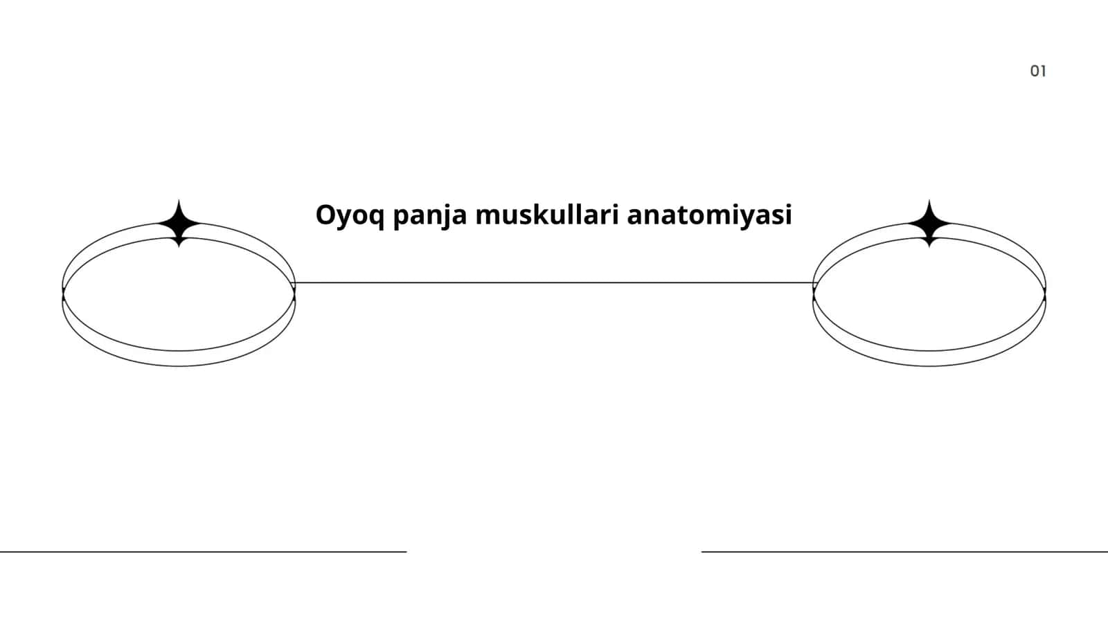 Oyoq panja muskullari anatomiyasi