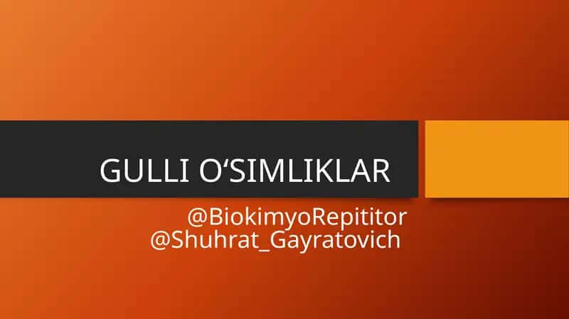 GULLI O‘SIMLIKLAR