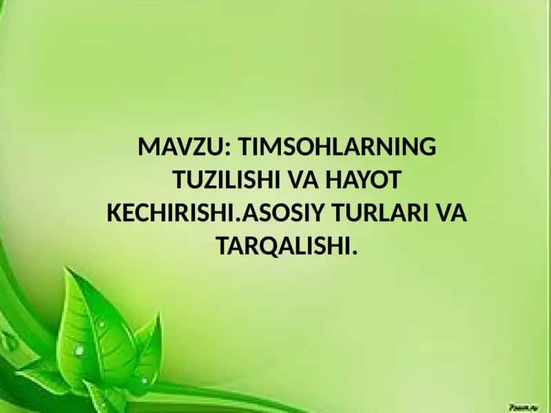 Timsohlarning tuzilishi va hayot kechirishi