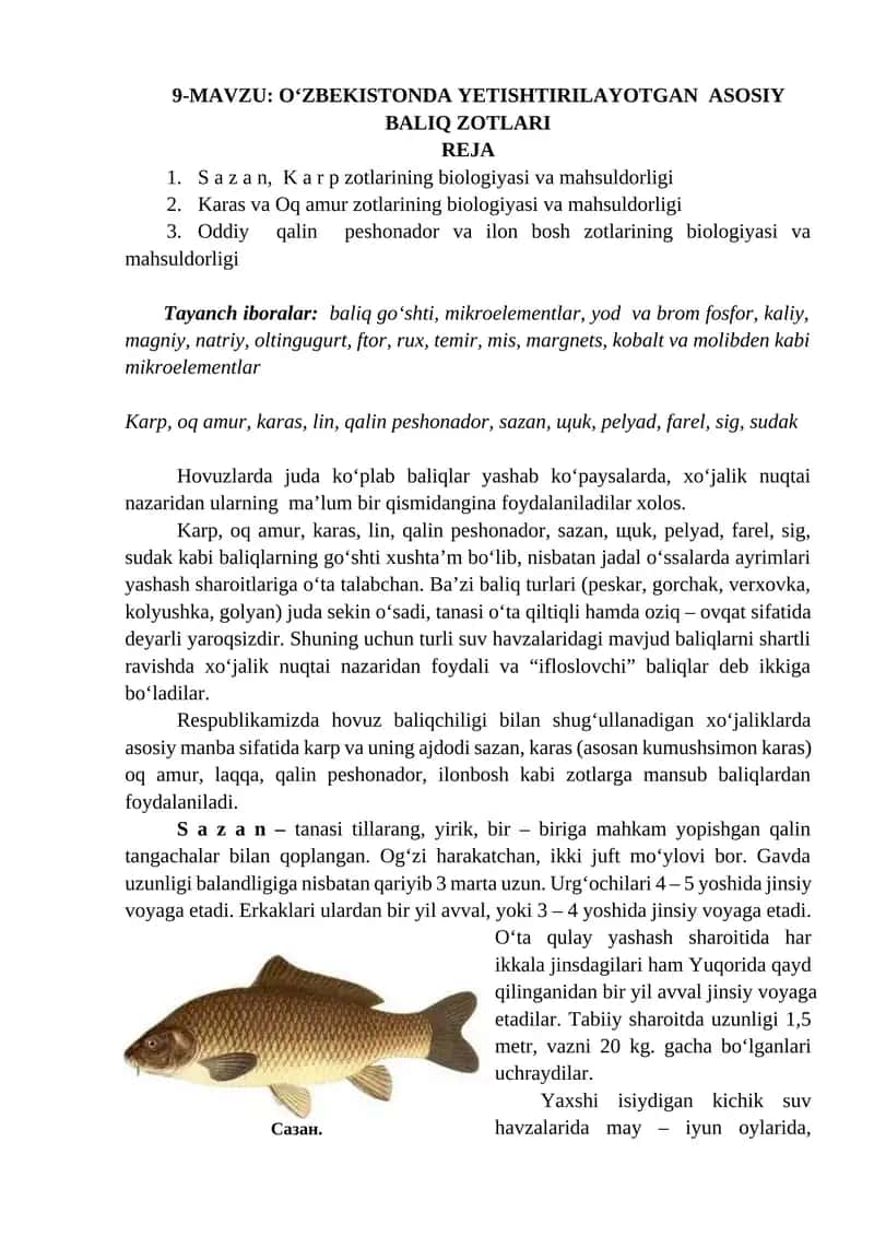 O‘ZBEKISTONDA YETISHTIRILAYOTGAN ASOSIY BALIQ ZOTLARI