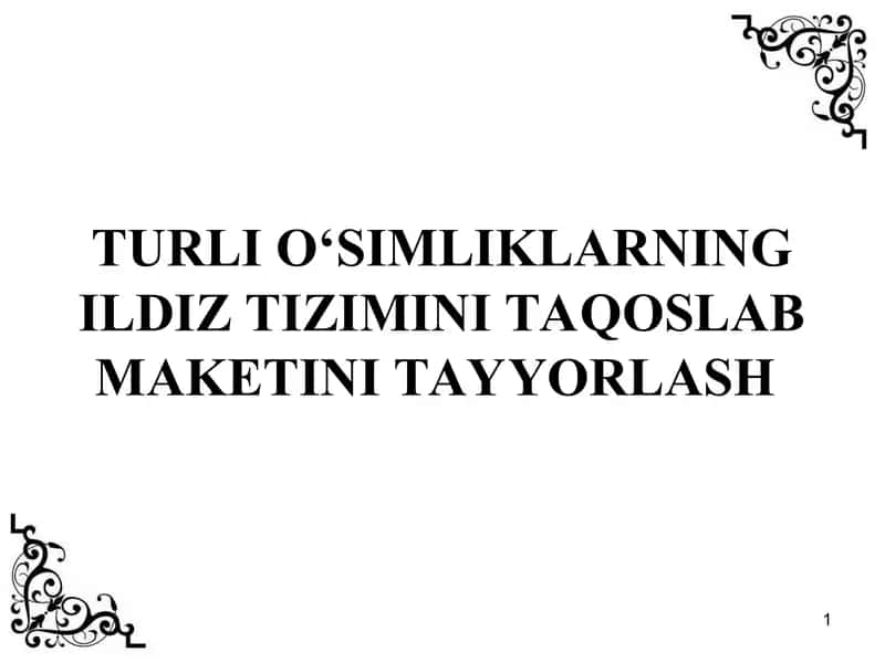 TURLI O‘SIMLIKLARNING ILDIZ TIZIMINI TAQOSLAB MAKETINI TAYYORLASH