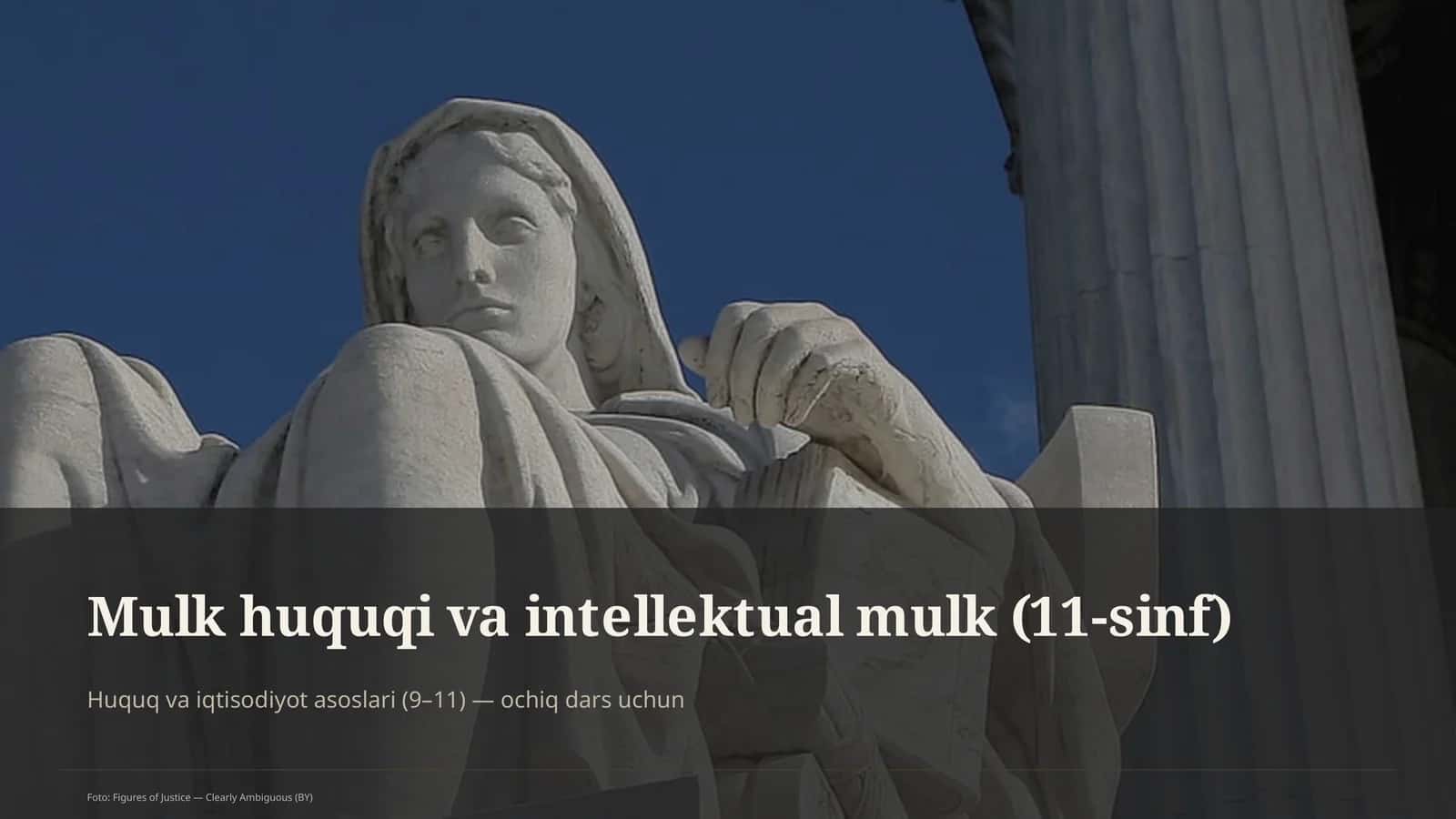 Mulk huquqi va intellektual mulk (11-sinf)