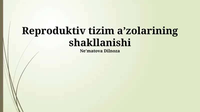 Reproduktiv tizim aʼzolarining shakllanishi