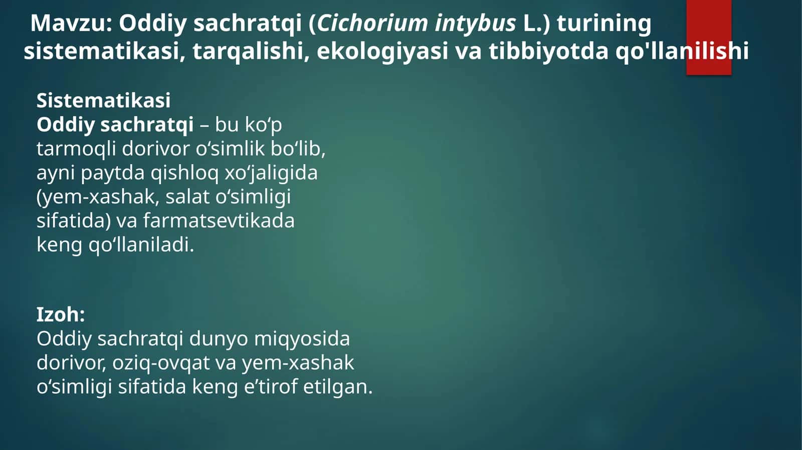 Oddiys achratqi (Cichorium intybus L.) turining sistematikasi, tarqalishi, ekologiyasi va tibbiyotda qo'llanilishi