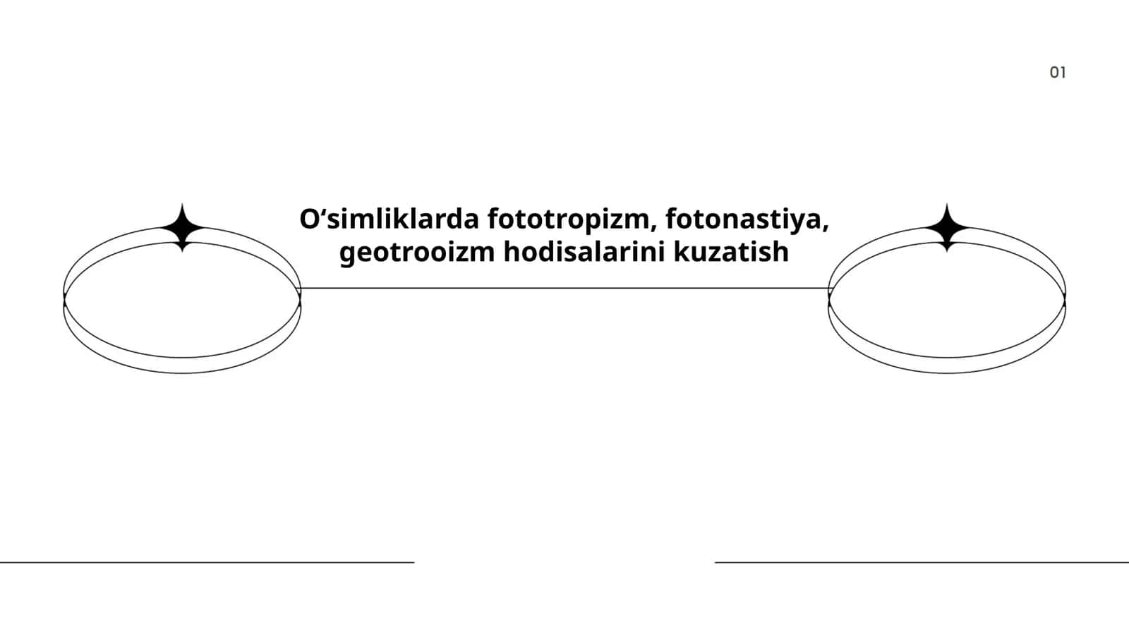 Oʻsimliklarda fototropizm, fotonastiya, geotrooizm hodisalarini kuzatish