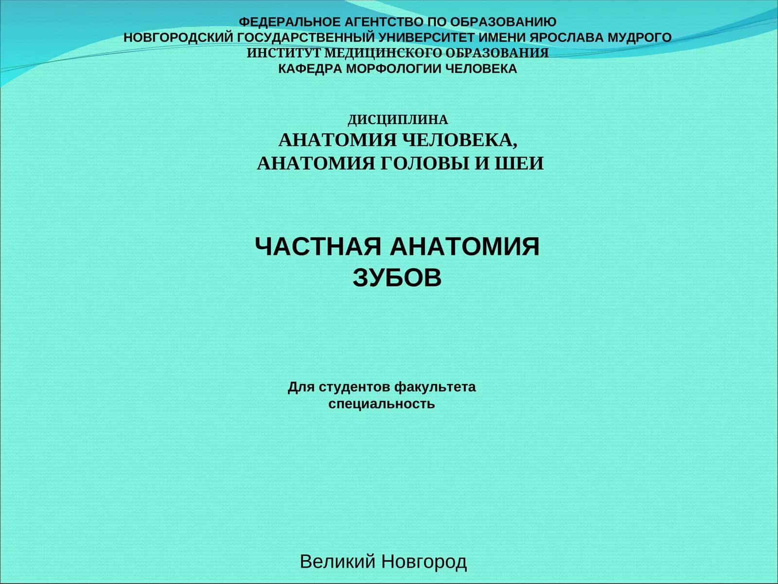 ЧАСТНАЯ АНАТОМИЯ ЗУБОВ
