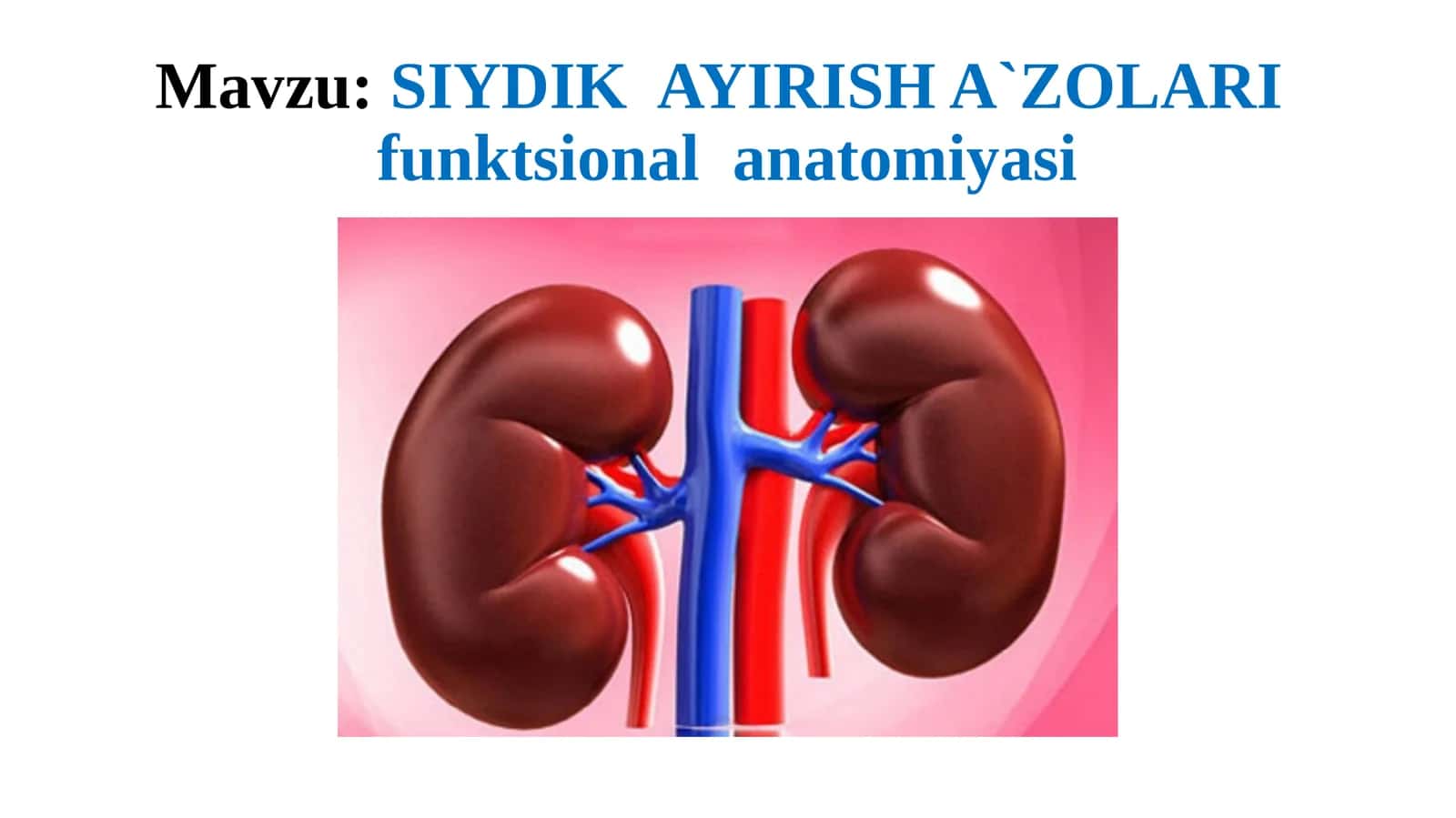 SIYDIKAYIRISH A`ZOLARI