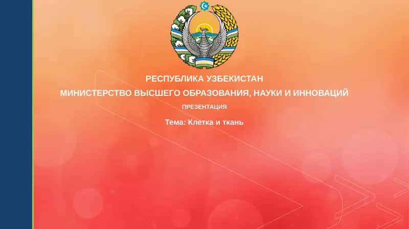 Клеткаиткань