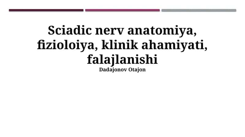 Siyatik Nerv