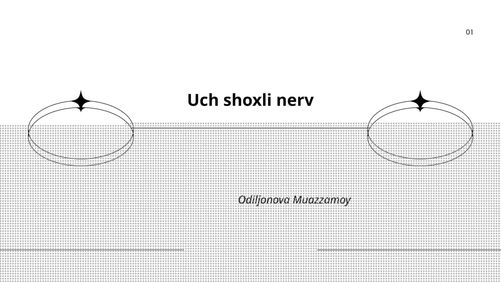 Uch shoxli nerv anatomiyasi