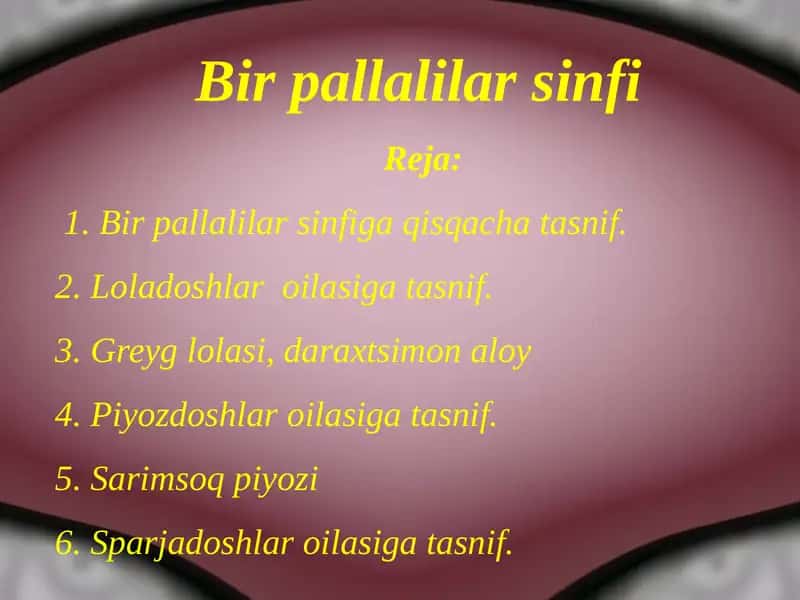 Birpallalilarsinfi