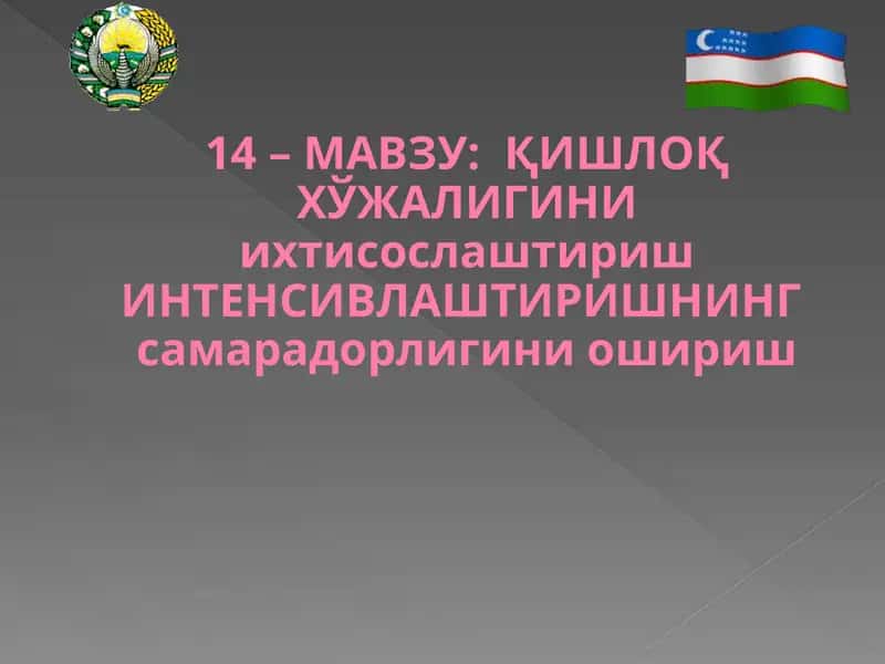 Қишлоқ Хўжалигини Ихтисослаштириш Интенсивлаштириш