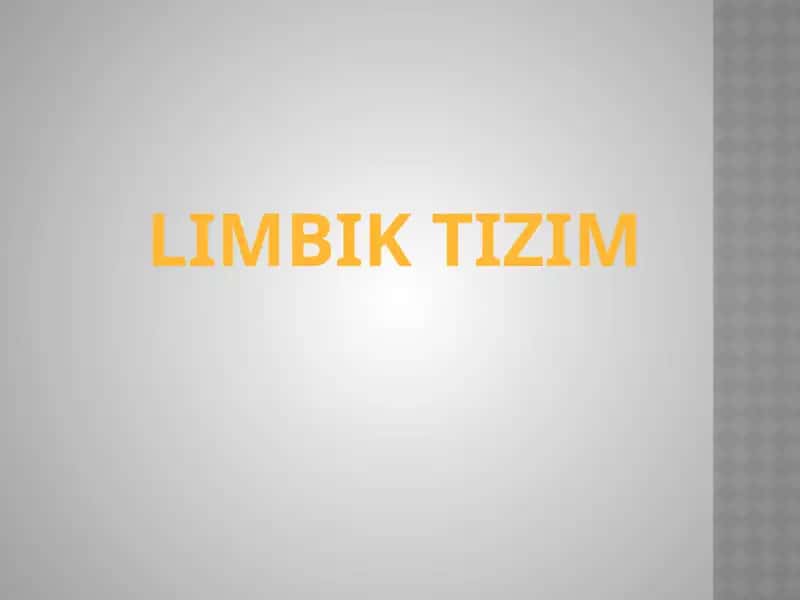 Limbiktizim
