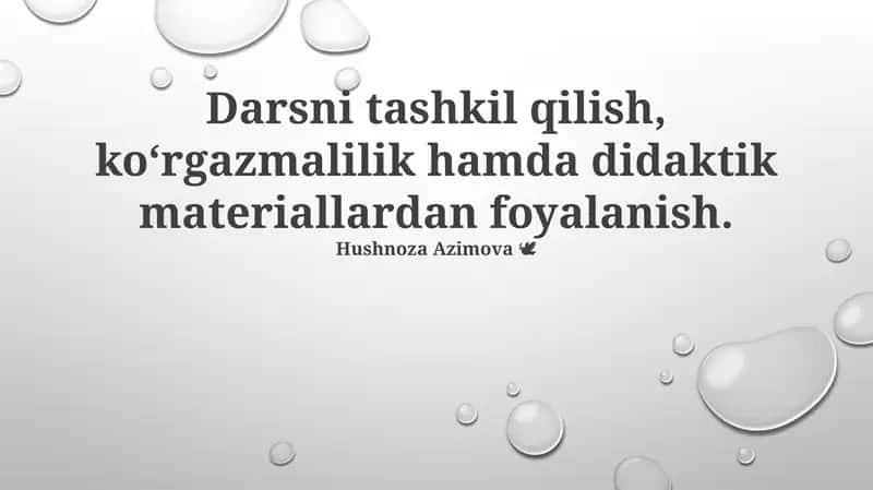 Didaktik vositalar