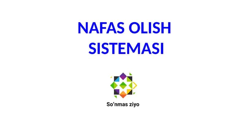 NAFAS OLISH SISTEMASI