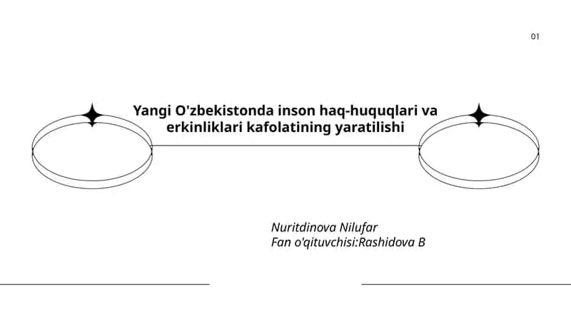Yangi O'zbekistonda inson haq-huquqlari va erkinliklari kafolatining yaratilishi