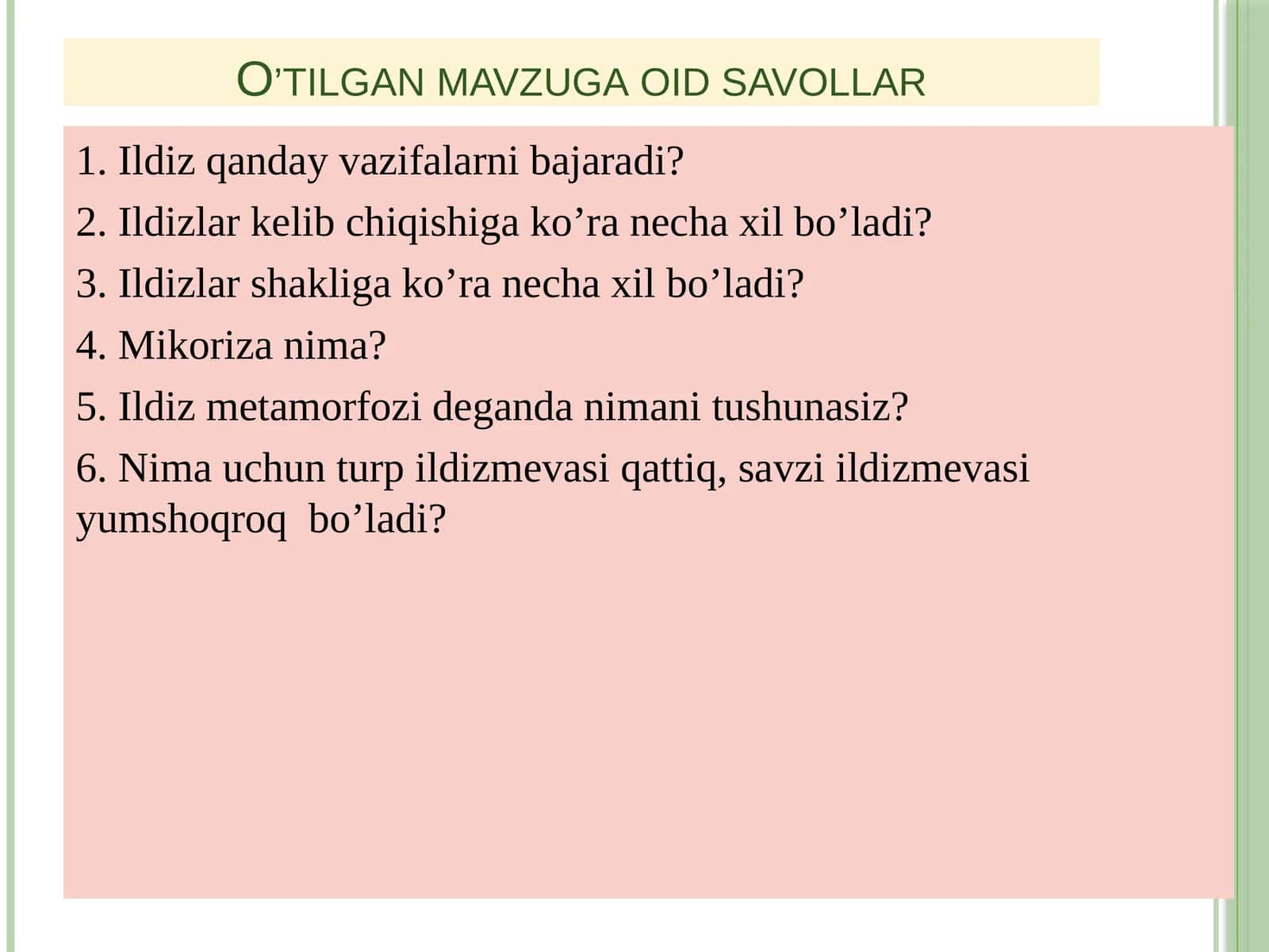 Ildizning anatomik tuzilishi