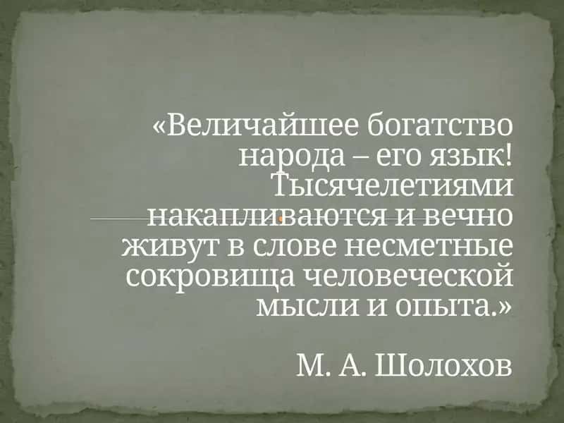 Презентация по теме«Язык и речь»