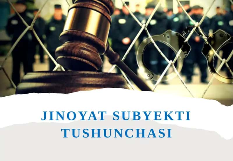 Jinoyatsubyektitushunchasi
