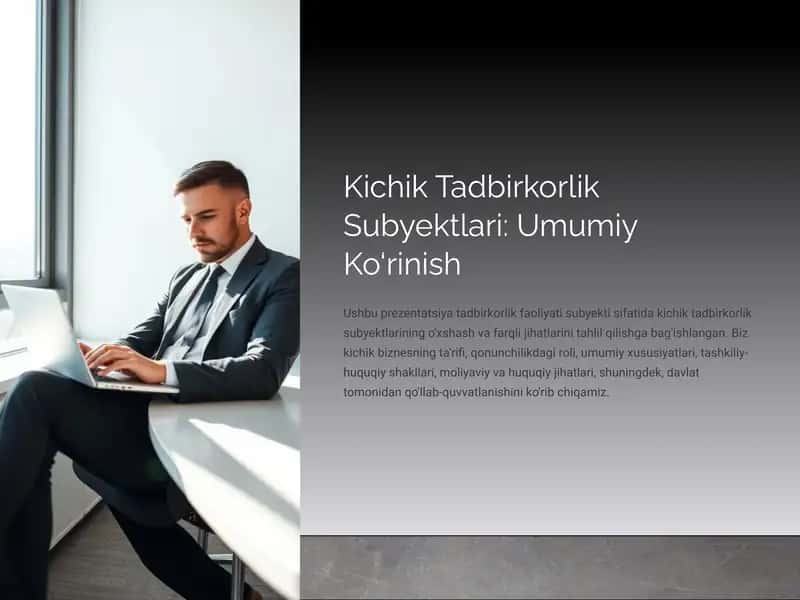 Kichik Tadbirkorlik Subyektlari: Umumiy Ko‘rinish