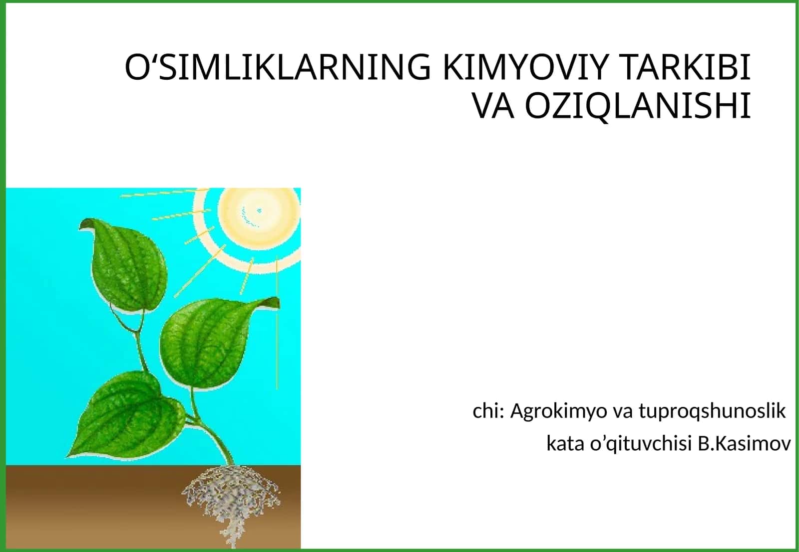 O‘SIMLIKLARNING KIMYOVIY TARKIBI VA OZIQLANISHI