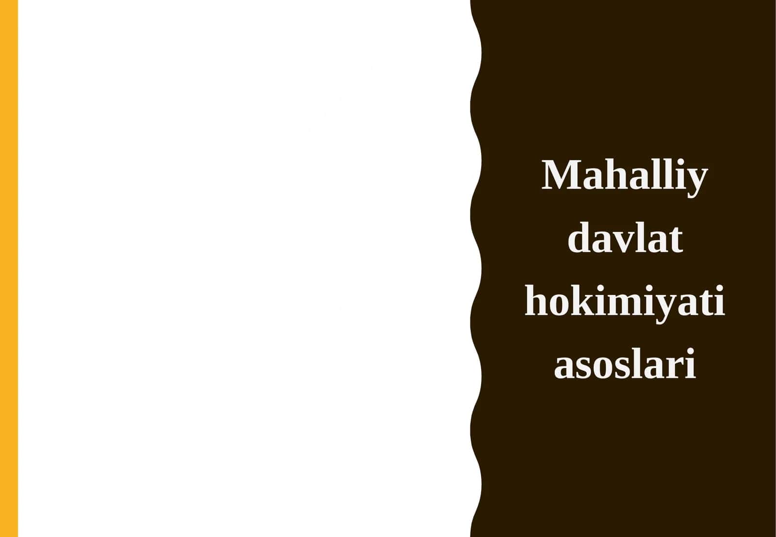Mahalliy davlat hokimiyati asoslari.