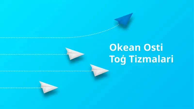 Okean Osti To'g' Tizmalari