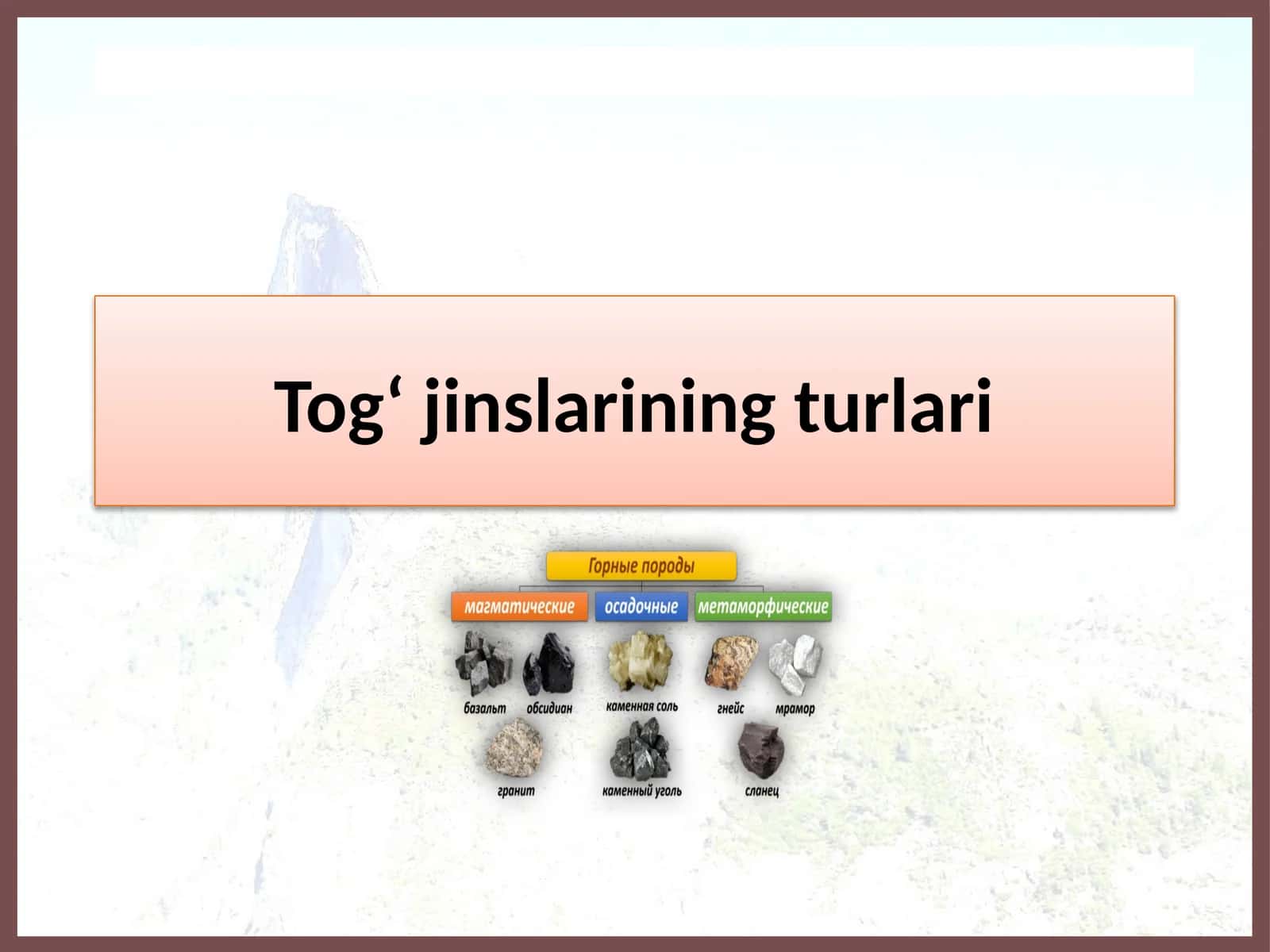 Tog‘jinslarining turlari