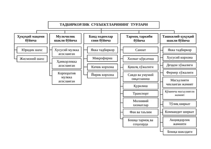 ТАДБИРКОРЛИК СУБЪЕКТЛАРИНИНГ ТУРЛАРИ