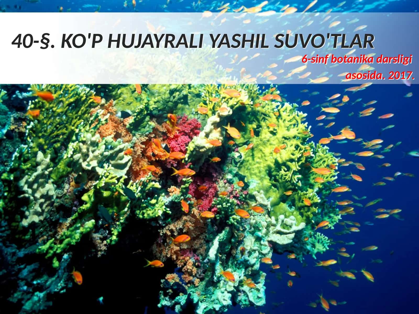 6-sinf Botanika Ko'p hujayrali yashil suvo'tlar