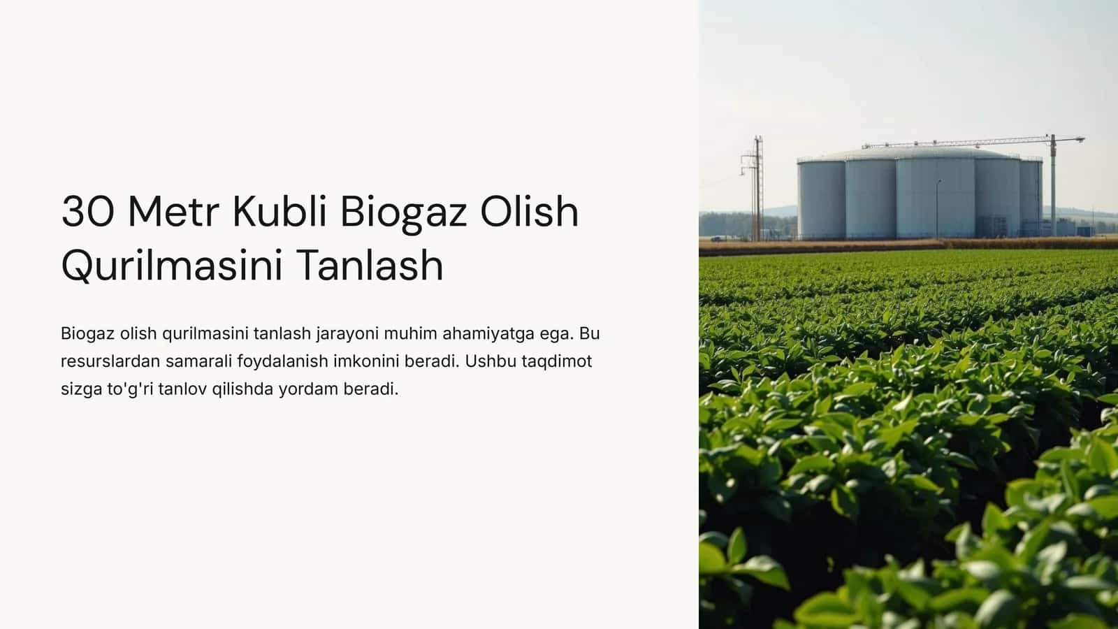 30 Metr Kubli Biogaz Olish Qurilmasini Tanlash