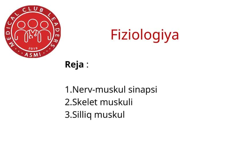 Skelet va silliq muskul fiziologiyasi