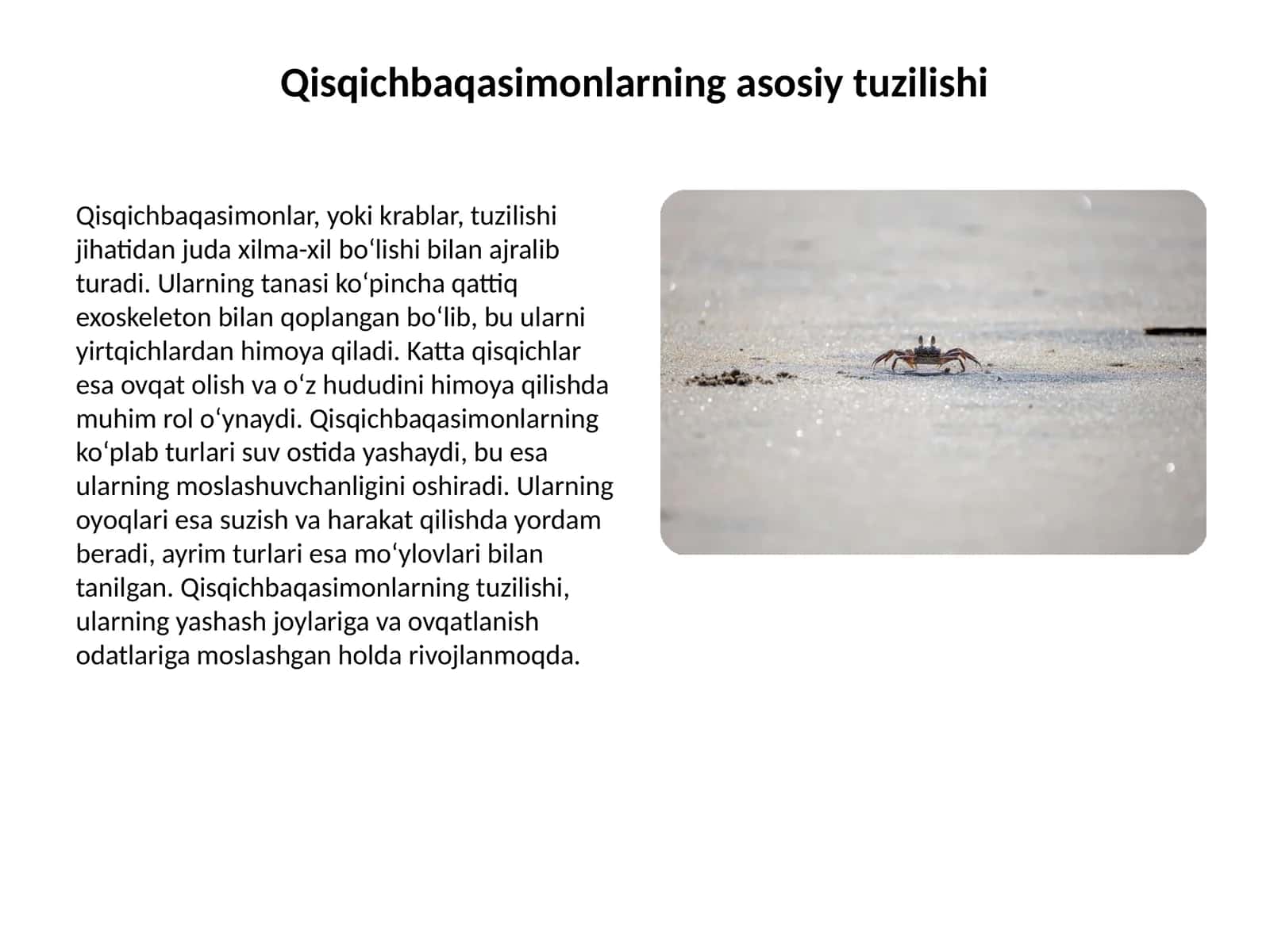 Qisqichbaqasimonlarning asosiy tuzilishi
