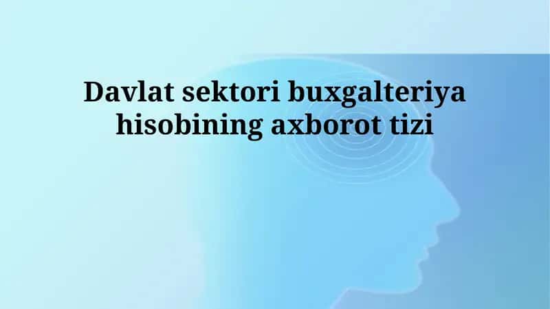 Davlat sektori buxgalteriya hisobiningaxborottizi