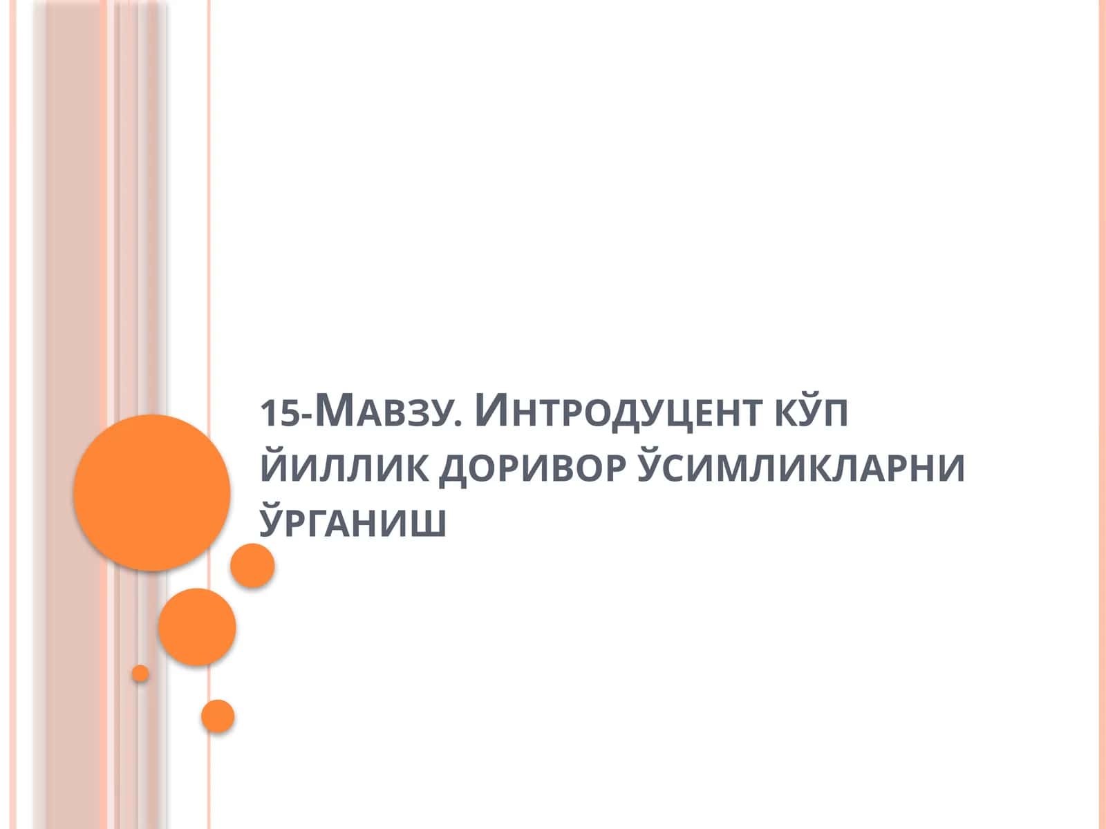 Интродуцент кўп йиллик доривор ўсимликларни ўрганиш