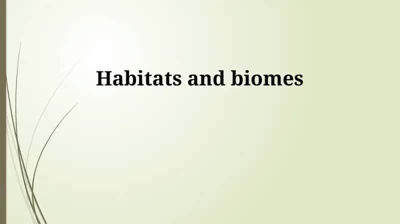 Understanding Habitats and Biomes
