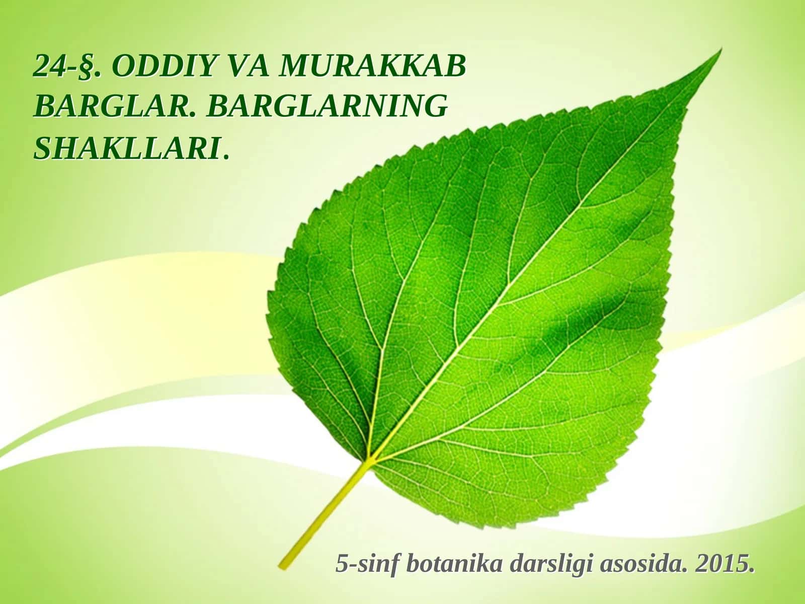 5-sinf Botanika Oddiy va murakkab barglar, barglarning shakllari