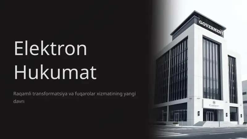 Elektron Hukumat
