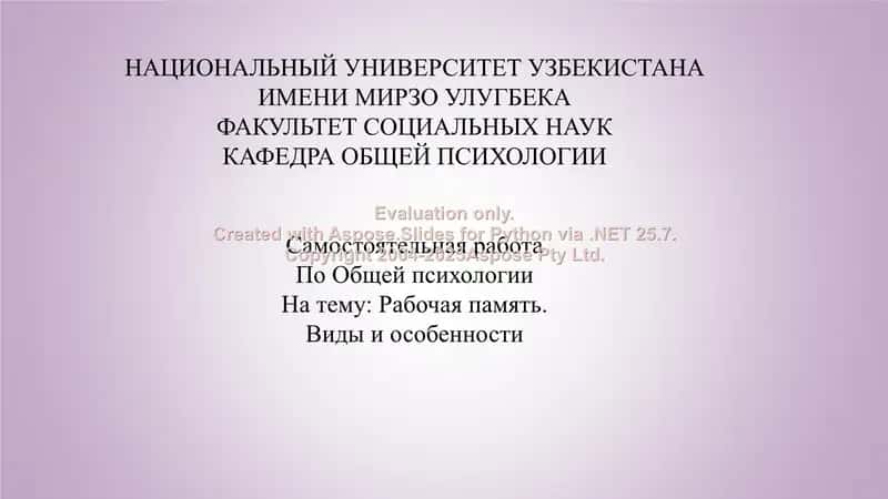 Рабочая память. Виды и особенности