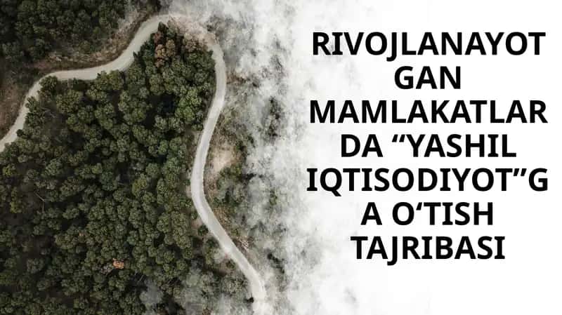 RIVOJLANAYOTGANMAMLAKATLARDA “YASHIL IQTISODIYOT”GA O‘TISH TAJRIBASI