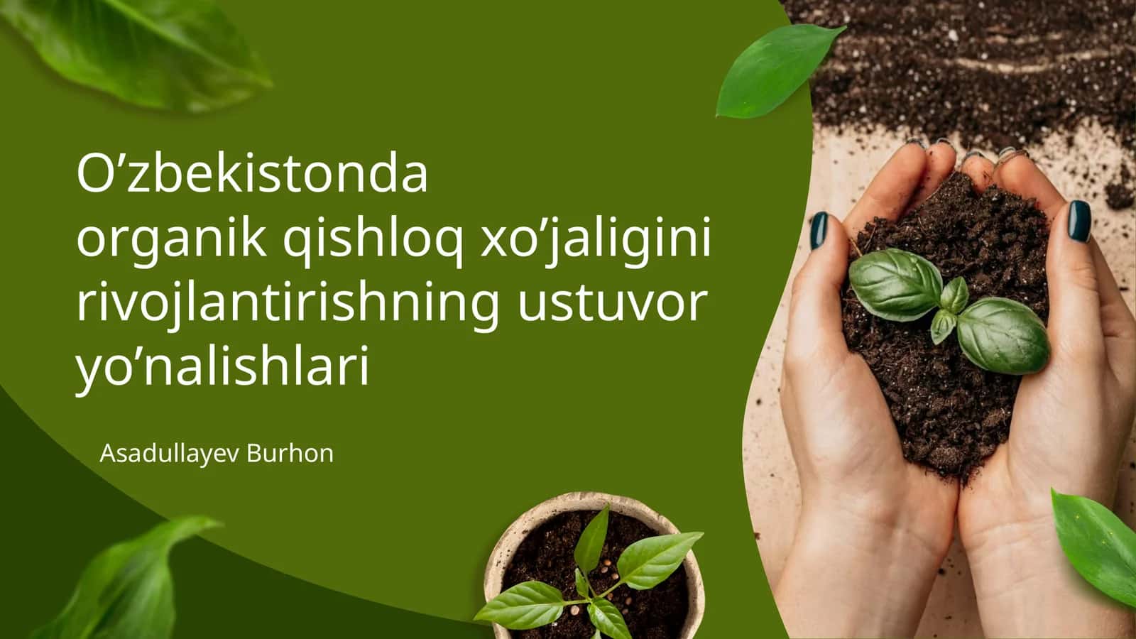 O’zbekistonda organik qishloq xo’jaligini rivojlantirishning ustuvor yo’nalishlari