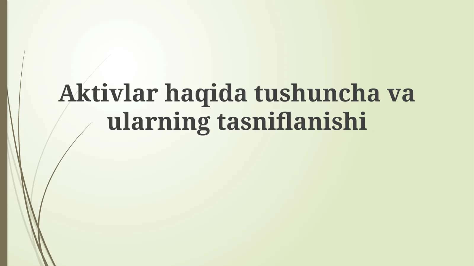 Aktivlar haqida tushunchalar va ularning tasnifi