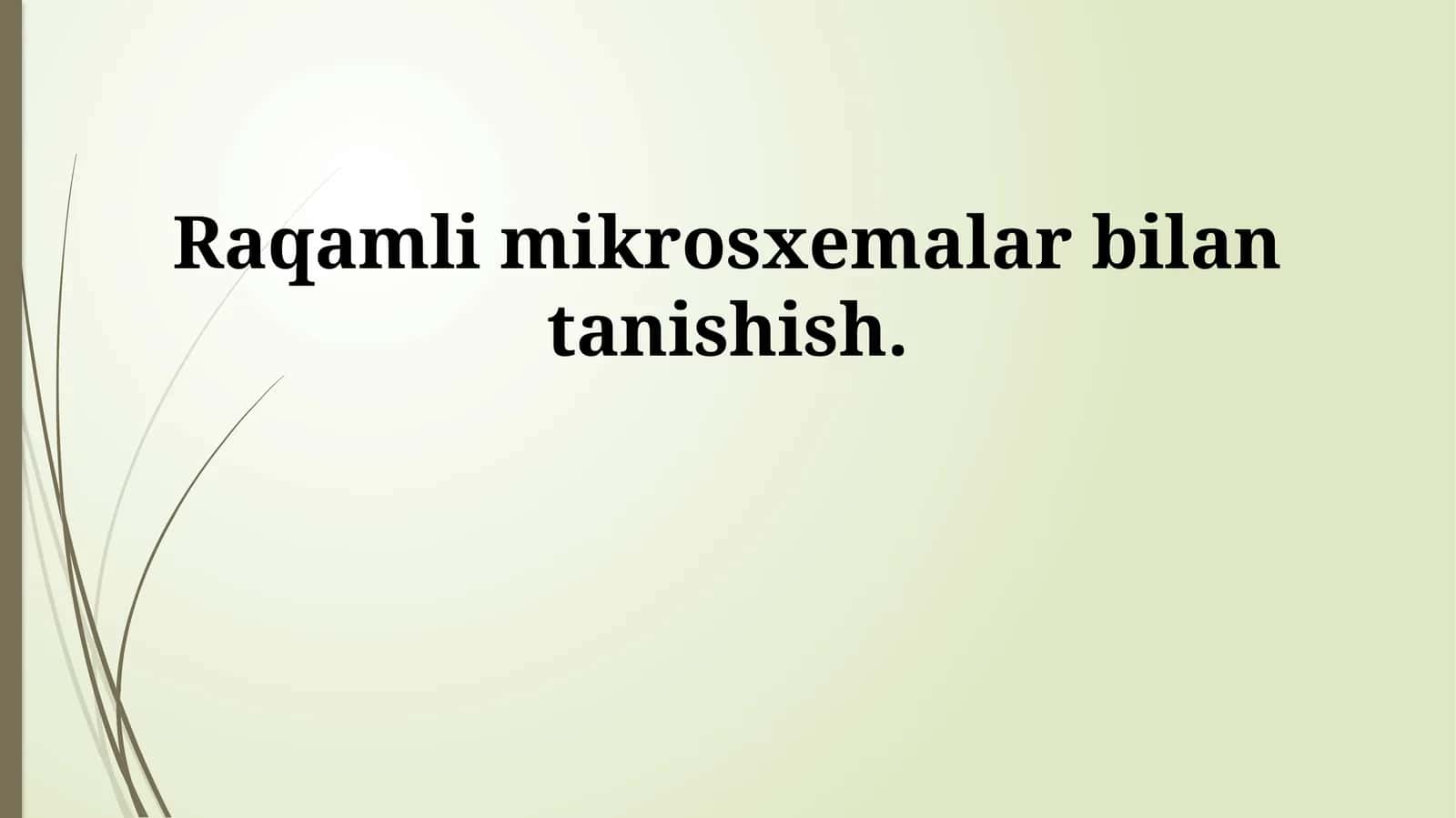Raqamli mikrosxemalar bilan tanishish