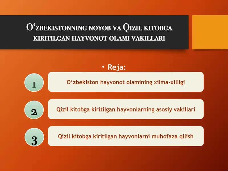 O‘zbekistonning noyob va Qizil kitobga kiritilgan hayvonot olami vakillari