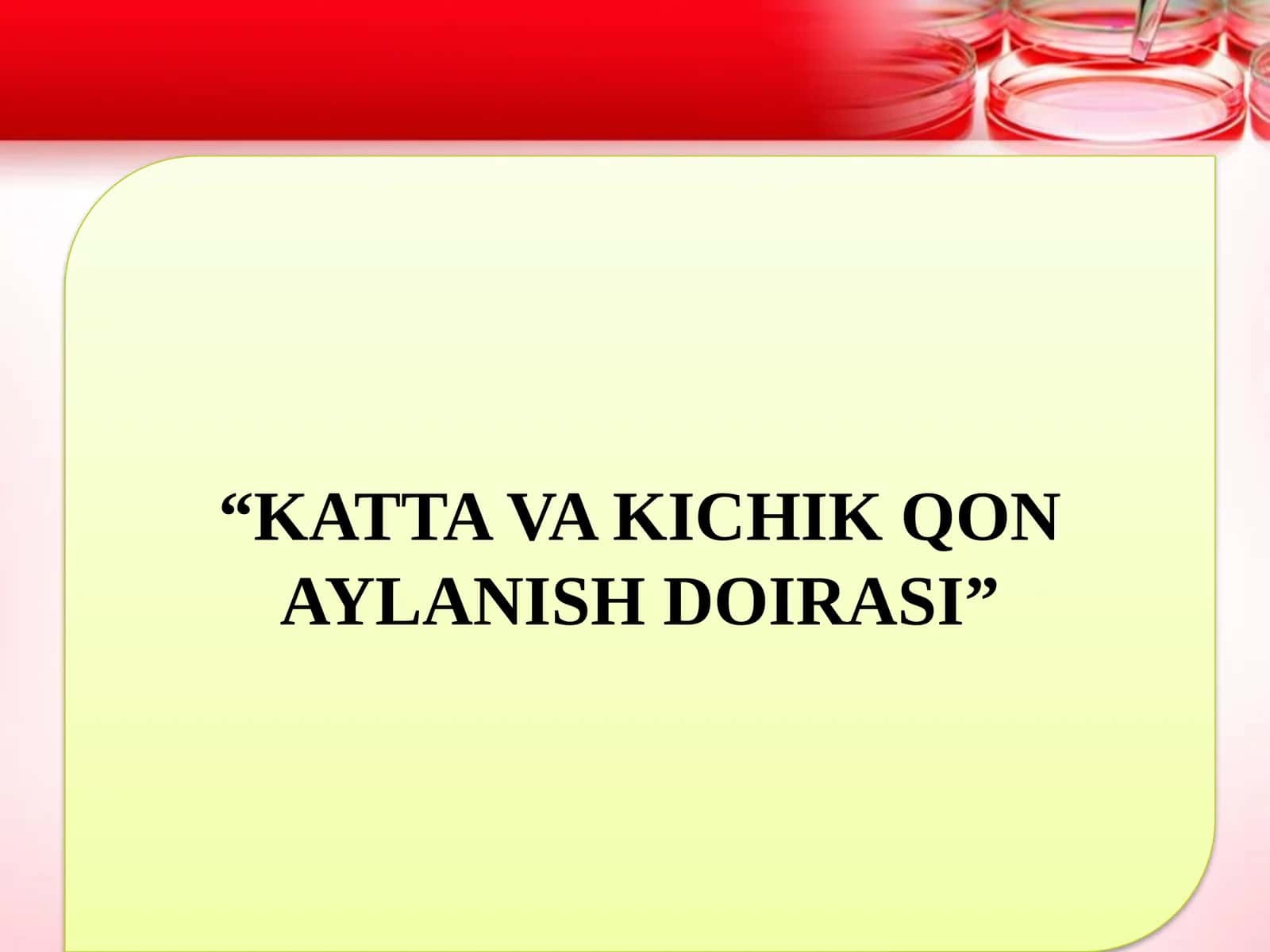 Yurak va qon to'mirlari